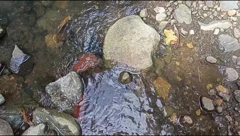 River water flowing Stock Footage 220609494