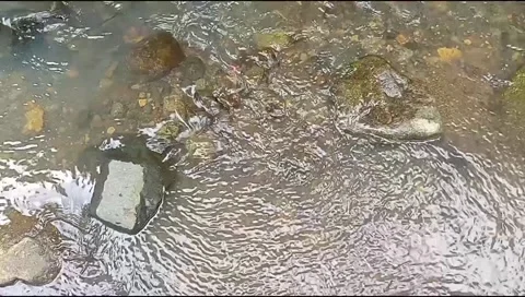River water flowing Stock Footage 220609724