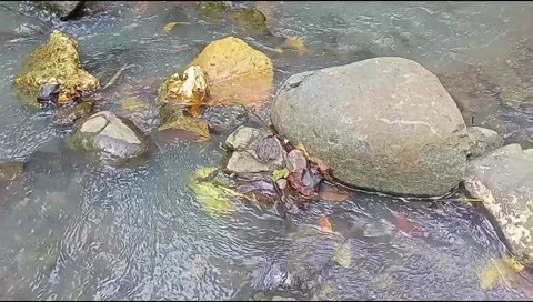 River water flowing Stock Footage 220609739
