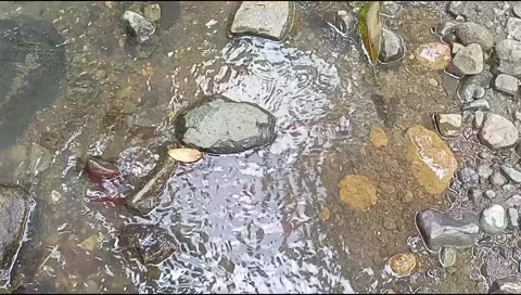 River water flowing Stock Footage 220609763