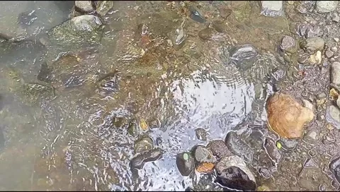 River water flowing Stock Footage 220609786