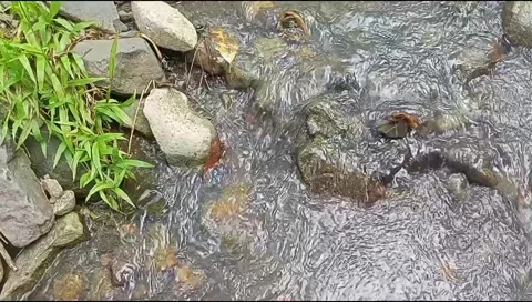 River water flowing Stock Footage 220609787