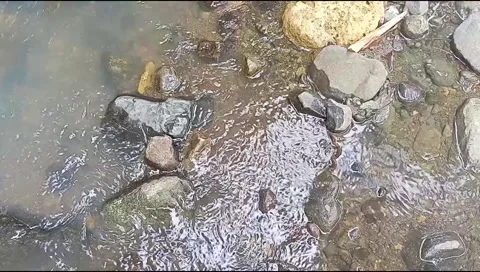 River water flowing Stock Footage 220609789