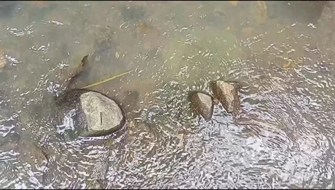 River water flowing Stock Footage 220609978