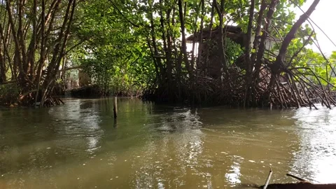 River Water Flowing Vídeos de archivo 220823324
