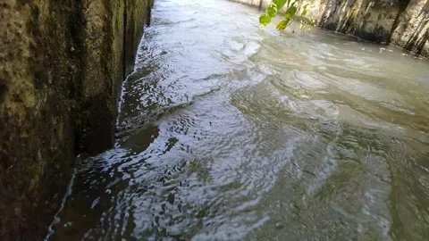 River water flowing 스톡 동영상 241705088