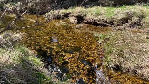 River water flowing Stock Footage 340640015