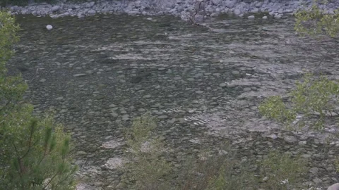 River water flowing in the forest in slow motion Stock Footage 297792511