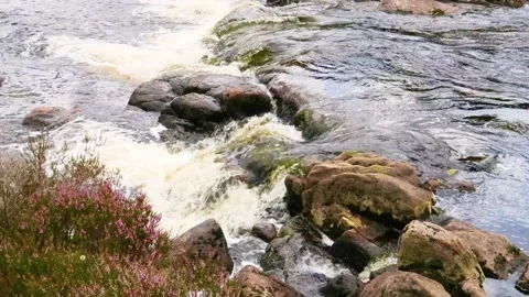 River water flowing over rocks, Carrick Lane River, Scotland, UK Stock Footage 202345217