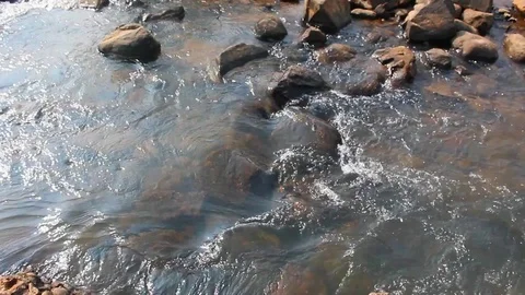River water flowing slowly Stock Footage 100798147