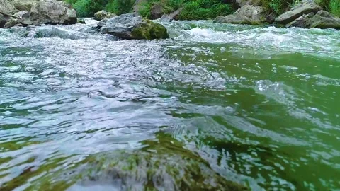 River water flowing through a forest Stock Footage 138555606
