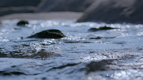 River water flowing through rocks Stock Footage 92501140