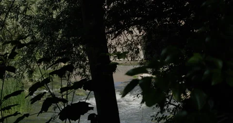 River Water Flowing with Trees in the Foreground Stock Footage 147710211