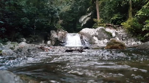 River water flowing with a view of a small waterfall. Stock Footage 115332285