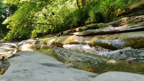 The river water flows on a the bed of rocks Stock Footage