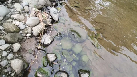 River water flows between the rocks Stock Footage 304310062