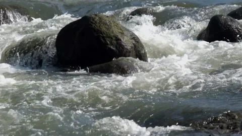 The river water flows clear and fast through the rocks Stock Footage 280390487