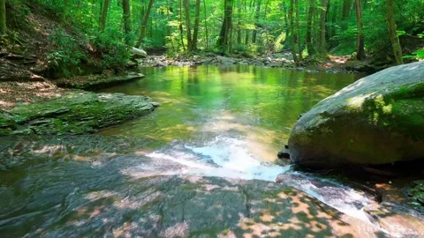 River water flows clear Stock Footage 243541216