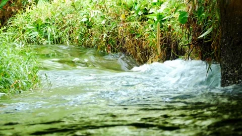 The river water flows fast. Fresh river water with a cooling flow Stock Footage 267861060