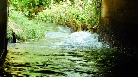 The river water flows fast. Fresh river water with a cooling flow Stock Footage 267861076