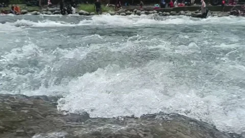 River water flows Stock Footage 231647382