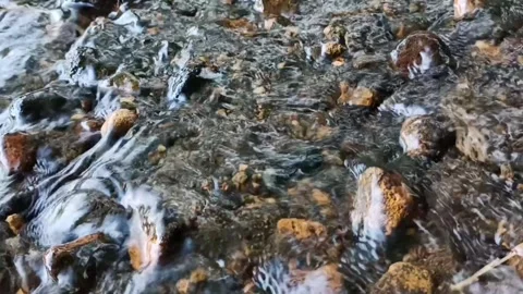 River water flows Stock Footage 234778224