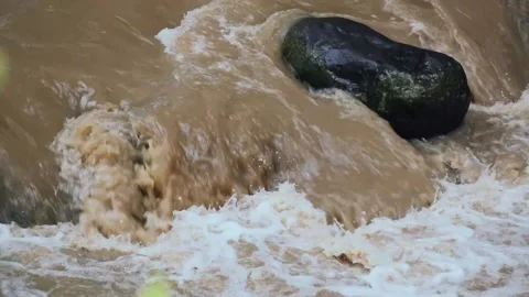 River water flows Stock Footage 236685174