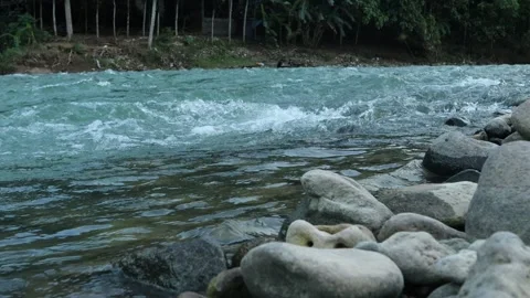 River water that flows Video stock 241908548