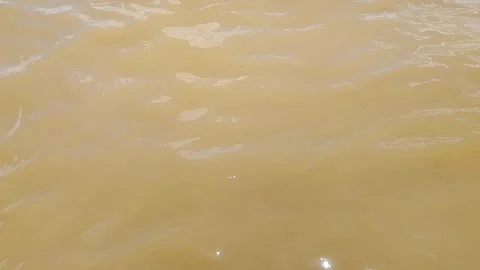 The river water flows in the harbor which flows quietly Stock Footage 241767005