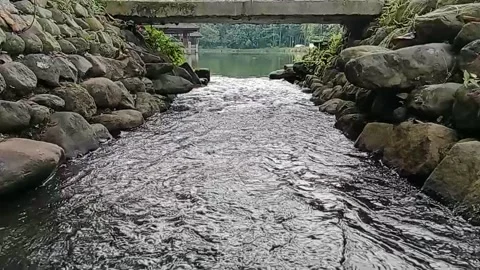 River water flows into the lake slowly, arranged with rocks beside the river Stock Footage 224492384
