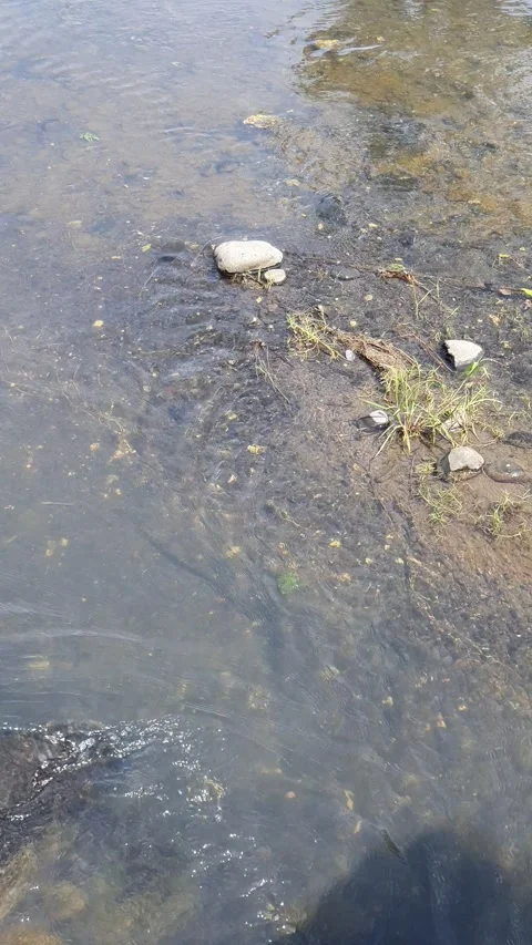 River water flows a little between the rocks Stock Footage 330853989