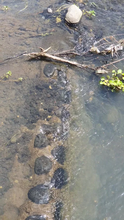 River water flows a little between the rocks Stock Footage 330854218