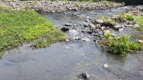 River water flows a little between the rocks Stock Footage 330854283