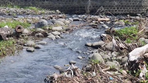 River water flows a little between the rocks Stock Footage 330855142