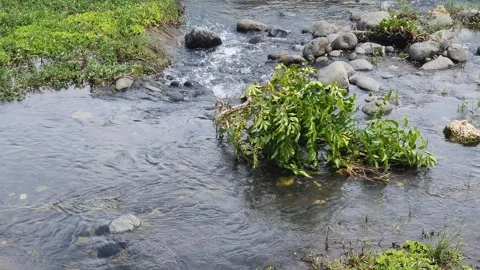 River water flows a little between the rocks Stock Footage 330855275