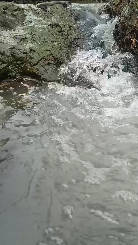 River water flows in the morning Stock Footage 293035944