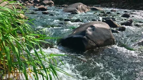 River water flows over rocks Stock Footage 294323496