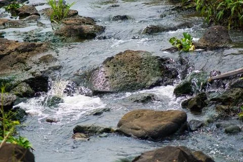 River water flows Foto stock