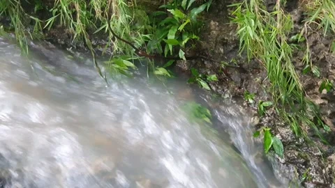 River water flows rapidly in the rainy season Stock Footage 311737507