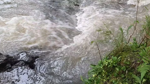 River water flows rapidly in the rainy season Stock Footage 311743630
