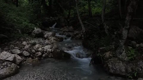 The river water flows so calmly Stock Footage 316946725