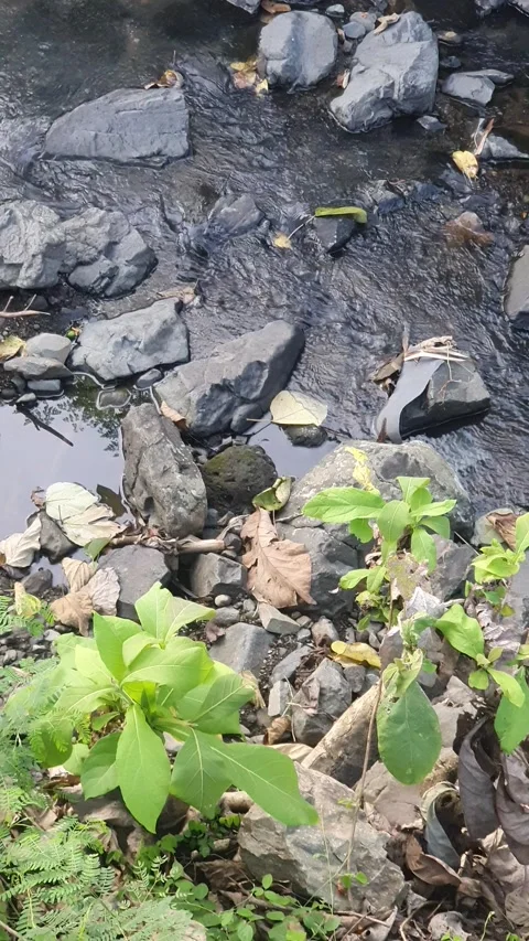 River water flows together with rocks in Indonesia Stock Footage 310145302