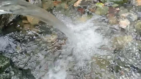 River water flows very clean Stock Footage 236061321