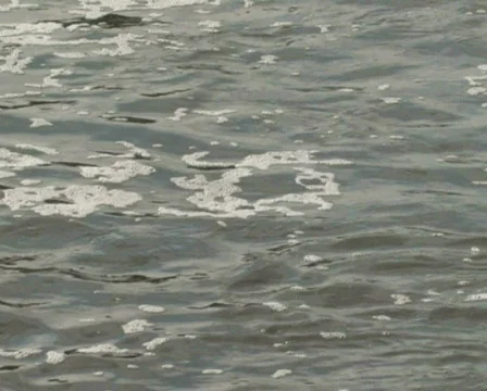 River Water Stock Footage 284801