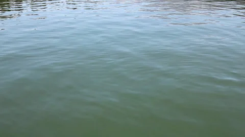 River water Stock Footage 998663