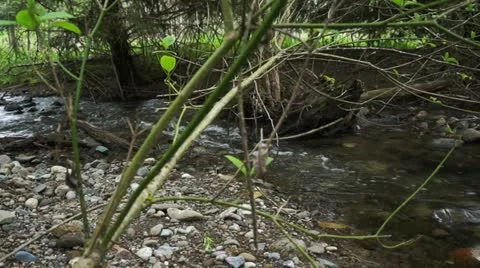 River Water Stock Footage 10895471