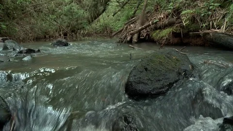 River water Stock Footage 81417859