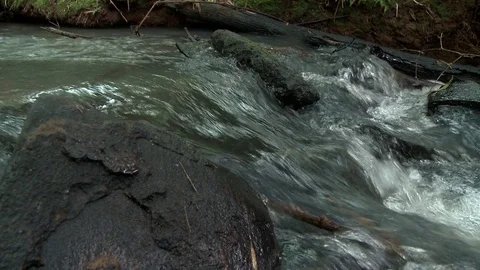 River water 스톡 동영상 81417920