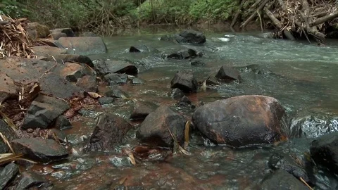 River water Stock Footage 81417928