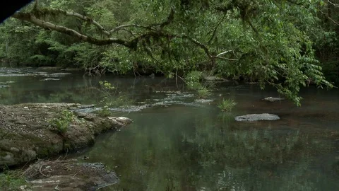 River water Video stock 81419209